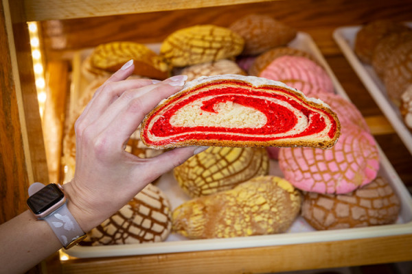 Image file elcaminofairfield_1A1E74B6-C53A-D01D-CEB3589A033EA40D-1a1e73c7063c8f8_1a1e7b18-a4c5-5471-04f8f1bf10cdc85b.jpg