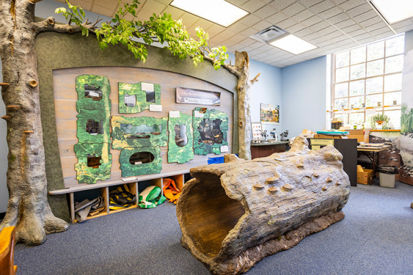 Image file hefnermuseumofnaturalhistory_41D1028F-CDA6-B85E-0A32F2F0738FCF65-41d0ff380e901ab_41d126d1-e98f-dbbd-79d59b5a4432bdaf.jpg