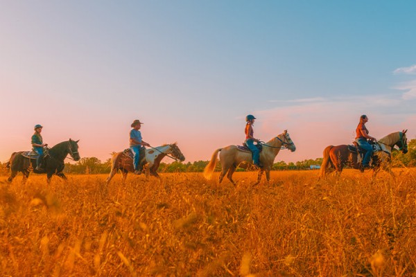 Image file nationroadhorserentaloxford_F25B5E8A-5056-A36A-09CAFD21606065B4-f25b5d065056a36_f25b6542-5056-a36a-097b266e37678377.jpg