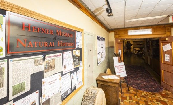 Image file BA4A0245_50A0A956-EDDA-B46B-98B8DD40342FB1E0-50a0a119a0052e1_50a1038d-d4f5-058f-f687441091fb201b.jpg