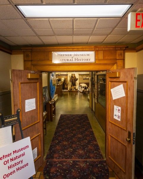 Image file BA4A0249_50A5485F-F71C-7529-3269350049FC1907-50a54205ef43e7d_50a54e4c-e9f1-9f52-d7b8525f3d01dc54.jpg