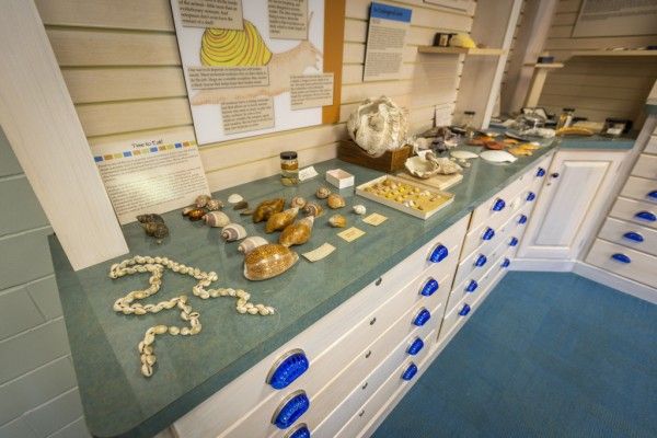 Image file BA4A0265_51FC6B85-9F08-8869-694B3B441EA44E8D-51fc6106999aa32_51fccaef-d1c2-121f-a42e5d55aa91fd62.jpg