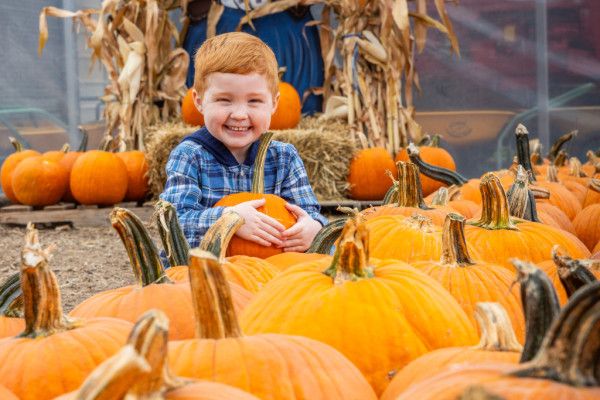 Image file Barn-N-Bunk-Farm-Market_2AFC2A61-FF96-B39C-F7E0A97E519947FF-2afc1738927ccd6_2afc306c-f1c8-4e73-615ee29a895567f1.jpg