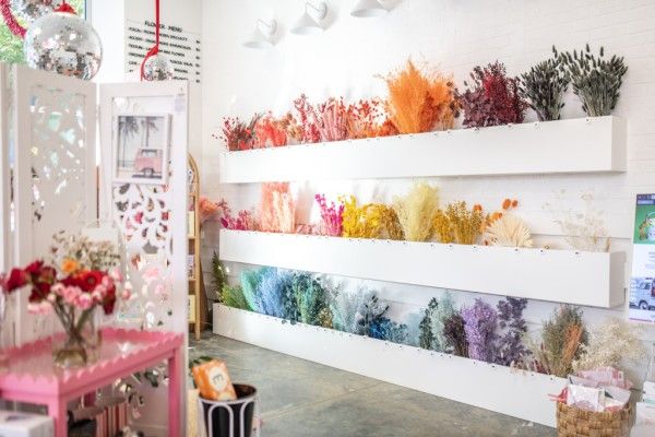 Image file DSC_4660copy_8434DFFB-B496-4CD4-EF0D59240EF567F0-8434c22aff9cd5f_84355bb4-fb46-e434-126e183b38363663.jpg