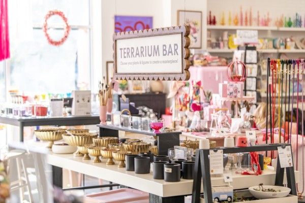 Image file DSC_4800copy_83E8FF1E-BBF3-695C-59EC074A760A8129-83e8e9fce8e9e12_83e983d8-96e2-4987-671a308c5adf11c8.jpg