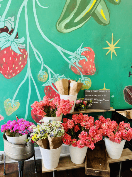 Image file Farmer-s-Collective_9F172D2F-FD51-8028-C6995A767030FED8-9f16f4050ba4c8c_9f17330f-0251-9609-67a456b36e8b4f8c.png