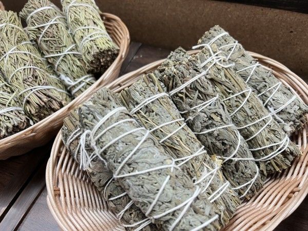 Image file IMG_6199_59D63746-ECE6-2B2B-B74E4F6CD4555E9A-59d632d093bc567_59d63c3f-cf96-074d-73f1089c94d41c11.jpg