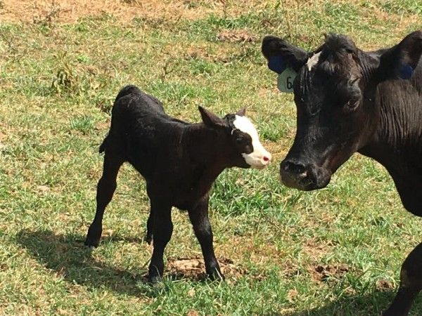 Image file Jackson-Family-Farm-bc5362be5056a36_bc5363c9-5056-a36a-093dd3c34a8a0fe8.jpg