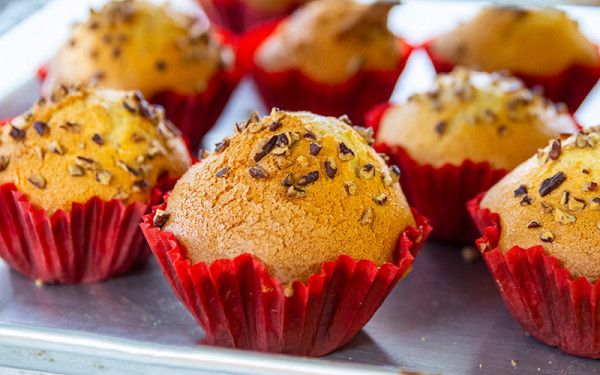 Image file elcamino_1A2076E9-9884-C70F-94753A29CF1E0797-1a207608d72eeaa_1a207d99-ccc6-c133-a40fcb0dd4c2bf98.jpg