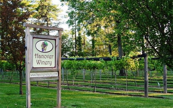 Image file hanoverwinery_E9CFBC65-5056-A36A-09176BCD67127545-e9cfbb305056a36_e9cfc53b-5056-a36a-09b22caefb56561f.jpg