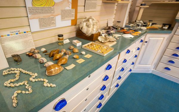 Image file hefnermuseumatmiamiuniversity_41EB4660-C181-7BB8-3F98646B0302F7F3-41eb4583aa6a675_41eb4dcc-cc6a-46b0-0189b4254fef5bd0.jpg