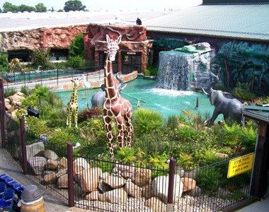 Image file junglejimsanimalpond0_fae35698-5056-a36a-09415aee10bcb1bd.jpg