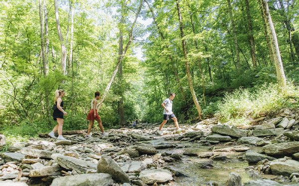 Image file rentschlerforestmetropark_A86361E3-A76F-5743-79C79B28F6B3C15B-a8636073adcb1be_a8636868-cff9-4acb-b276ea9723f1cac8.jpg