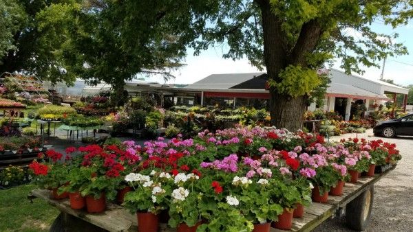 Browns family farm sale