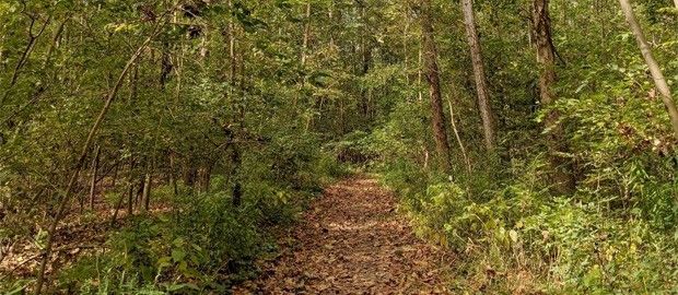 Woodsdale Regional Park