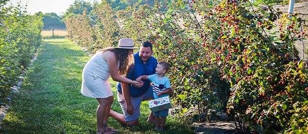 Indian Springs Berry Farm
