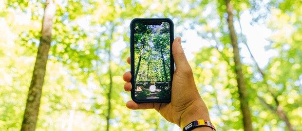 Rentschler Forest MetroPark