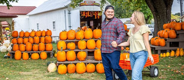 Garver Family Farm Fall Festival