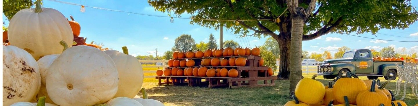 Ohio Fall Activities