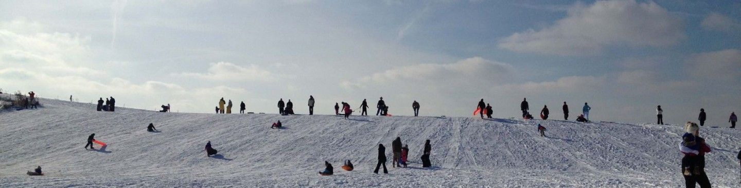 Sledders at Voice of America Park