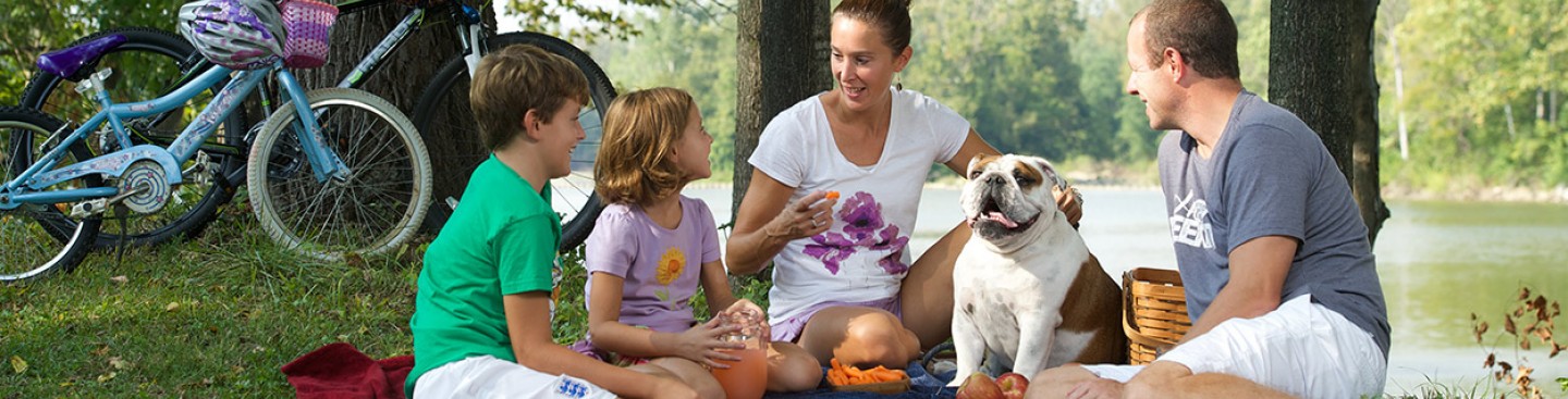 Content image Image file visitor.jpg