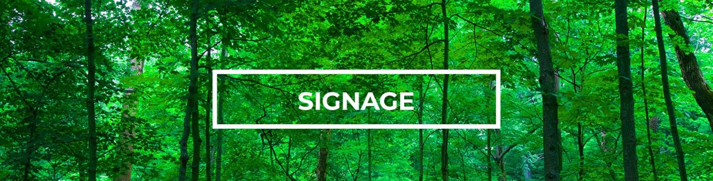 Trees at Rentschler Forest MetroPark