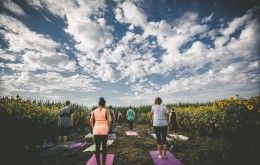 Sunflower Yoga at Burwinkel Farms