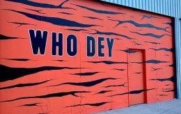 Cincinnati Bengals Who Dey Mural