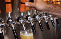 Fig Leaf Brewing 