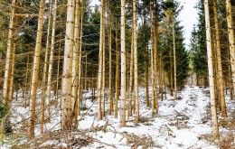 Butler County MetroParks Winter Hike Series
