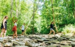 Rentschler Forest Ohio