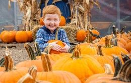Pick the Perfect Pumpkin