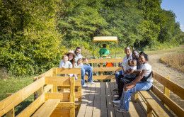 Niederman Hayride