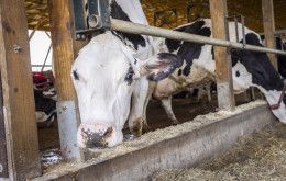 Image file BA4A0444_01FEB0AC-F104-BAF2-4AAD9A3EAFE3C503-01fe9fcf9cb26d3_01ff1140-f458-1c6a-97ca597dc061b56f.jpg