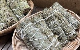 Image file IMG_6199_59D63746-ECE6-2B2B-B74E4F6CD4555E9A-59d632d093bc567_59d63c3f-cf96-074d-73f1089c94d41c11.jpg