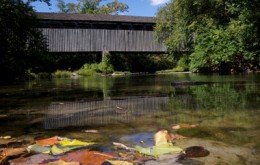 Image file blackcoveredbridge10-1b98bbfc5056a36_1b98bf5a-5056-a36a-090133e6082a1ba7.jpg