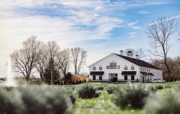 Image file whitebarnandblooms_58A6F96D-F798-7876-96CBEAA9D22D623B-58a6f88bb02dd21_58a711d1-f9d5-759b-5e9ea59a1f54d5eb.jpg