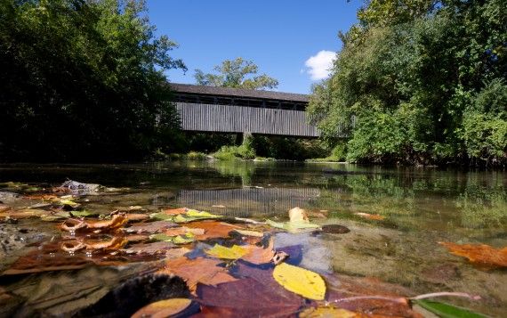 Black Covered Bridge