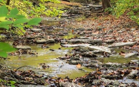 Hiking at Keehner Park, Ohio