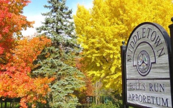 Bull's Run Arboretum
