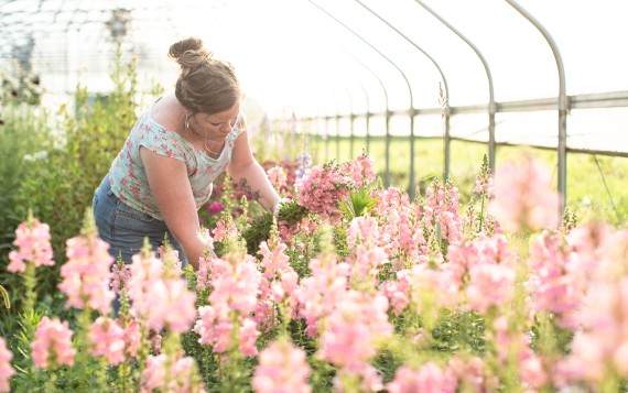 Two Little Buds Florist