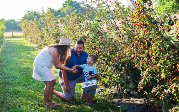 Indian Springs Berry Farm, Fairfield Township Ohio