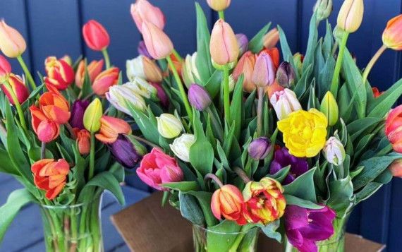 Lawson's Flower Farm, Middletown Ohio