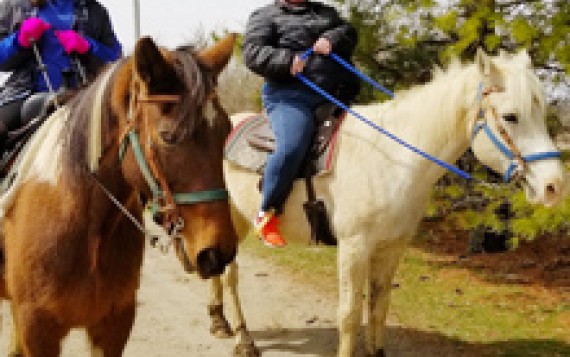 Image file Horsebackriding.jpg