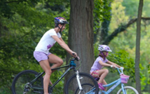 Image file Rentshler Park.jpg