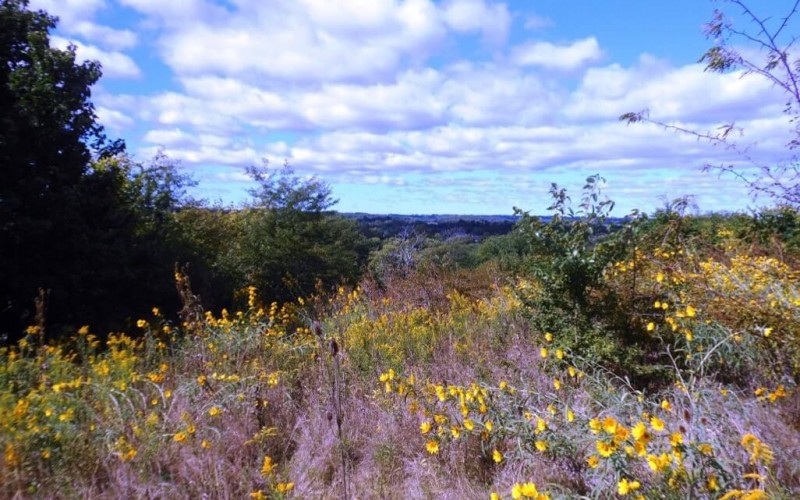 Forest Run Park Hamilton, OH
