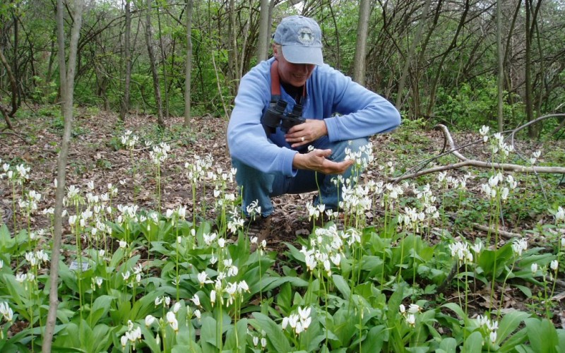 Bull's Run Arboretum