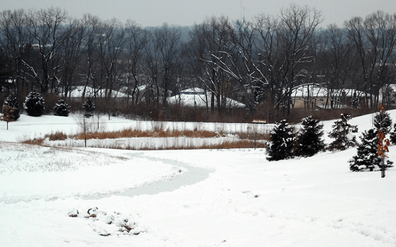Huffman Park Winter