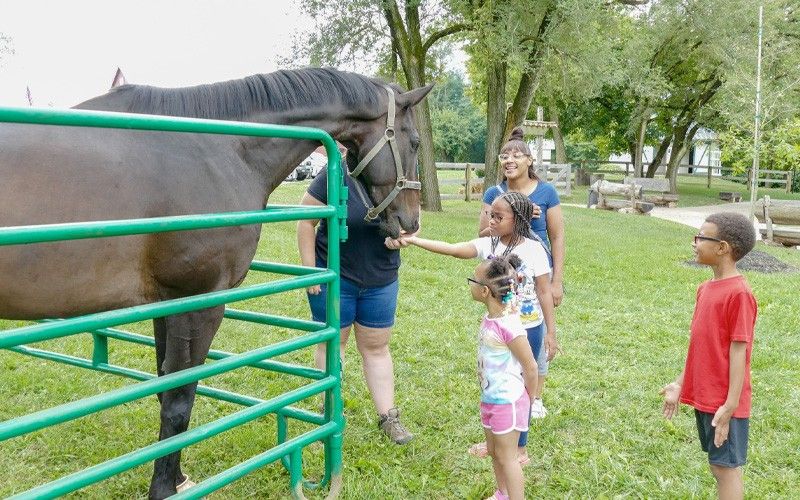 Fun on the Farm