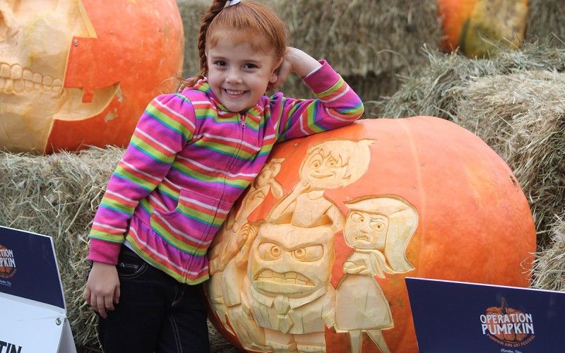 Fall Festivals and Events